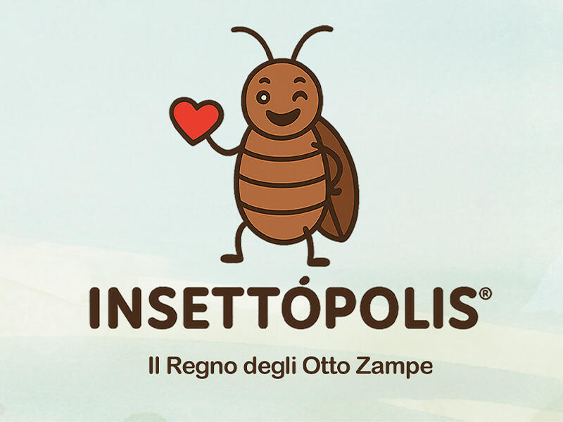 Grafica cartoon insetto scarafaggio